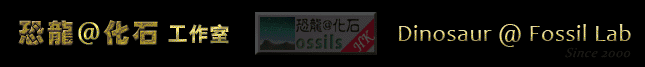 恐龍@化石工作室 Dinosaur @ Fossil Lab